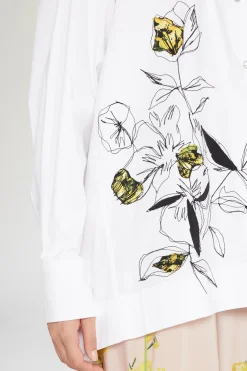 Online Antonio Marras Scilla